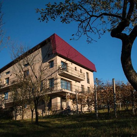 Panoramic Hotel Baia Sprie Bagian luar foto