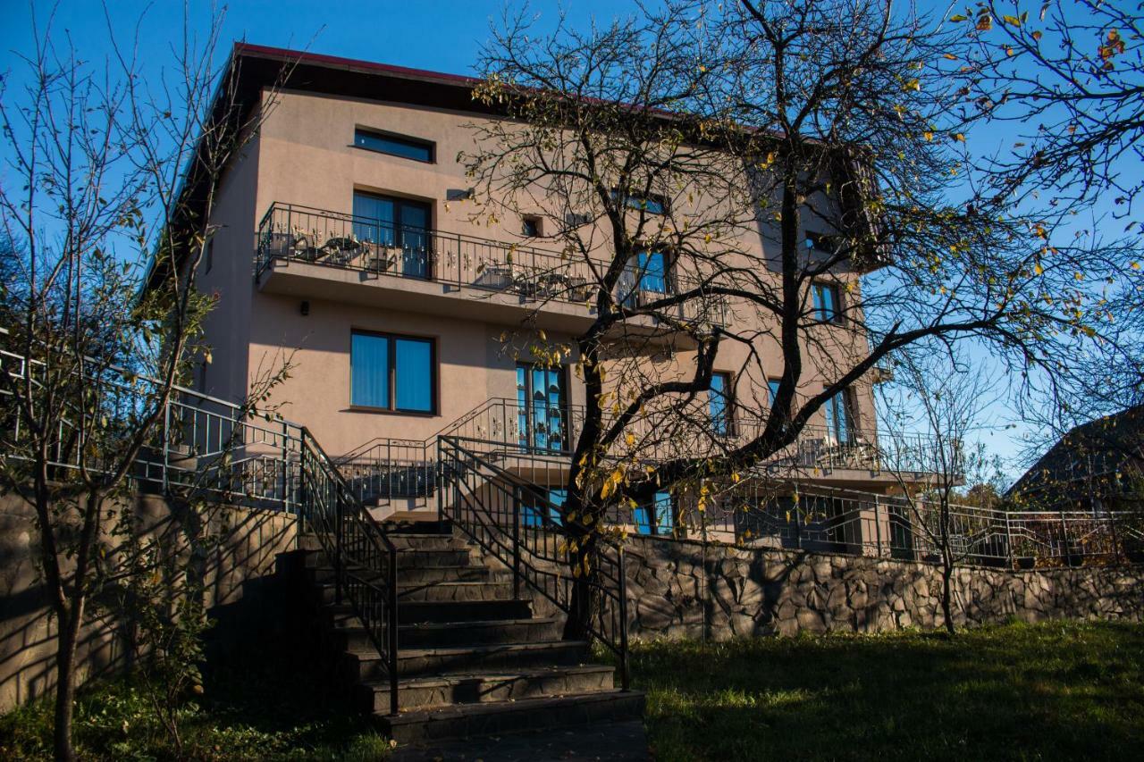 Panoramic Hotel Baia Sprie Bagian luar foto