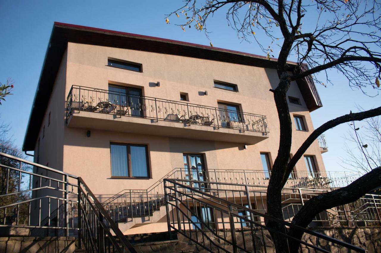 Panoramic Hotel Baia Sprie Bagian luar foto