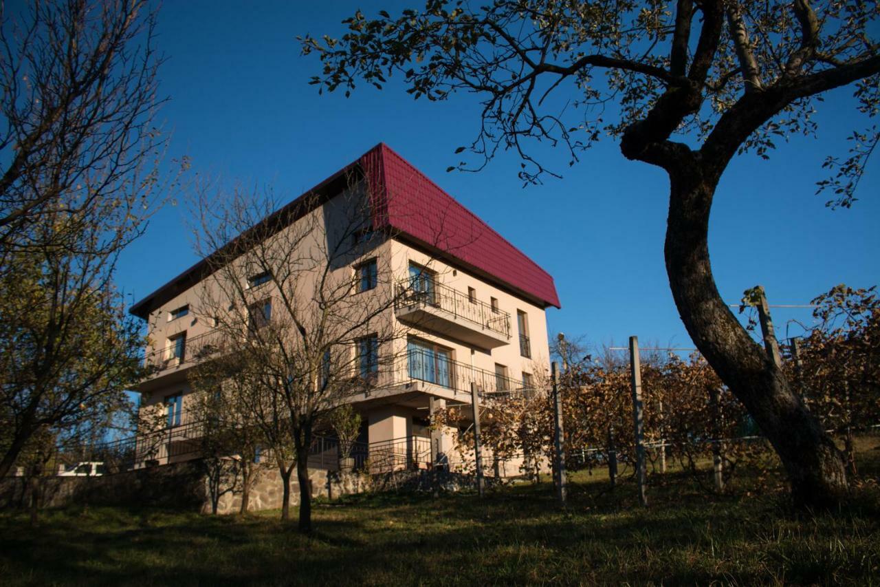Panoramic Hotel Baia Sprie Bagian luar foto