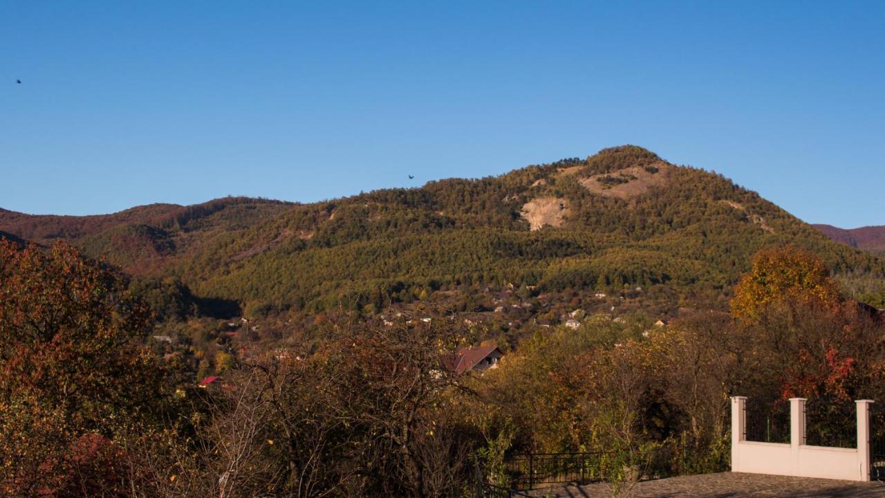 Panoramic Hotel Baia Sprie Bagian luar foto