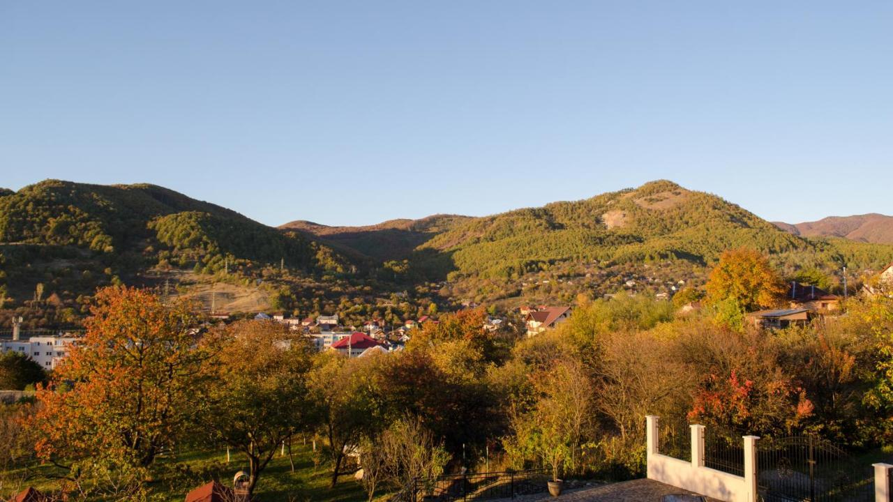 Panoramic Hotel Baia Sprie Bagian luar foto