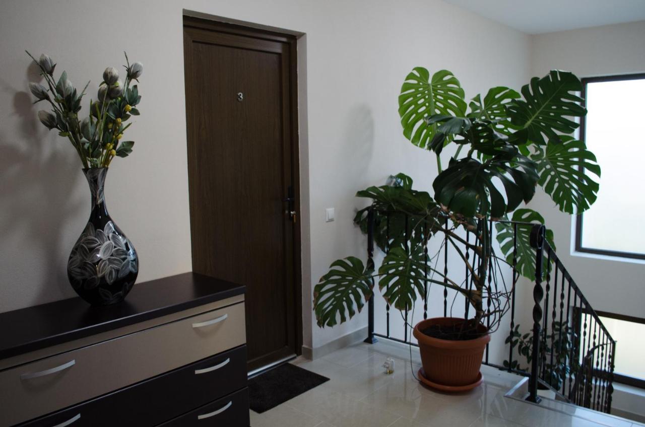 Panoramic Hotel Baia Sprie Bagian luar foto