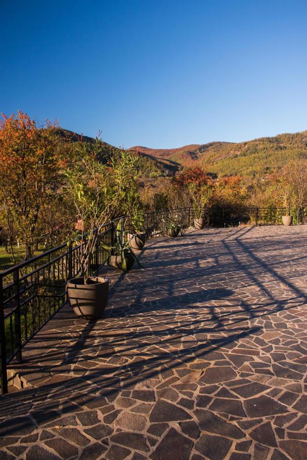 Panoramic Hotel Baia Sprie Bagian luar foto